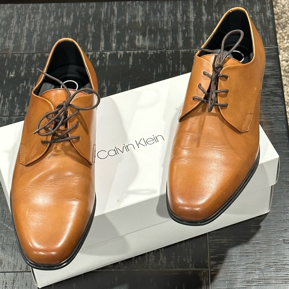 Calvin Klein Men’s Dillinger Leather Shoes